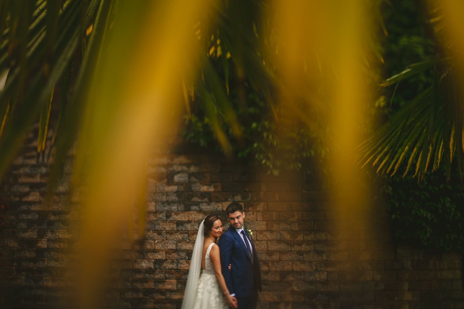 A bride and groom standing in front of a palm tree.