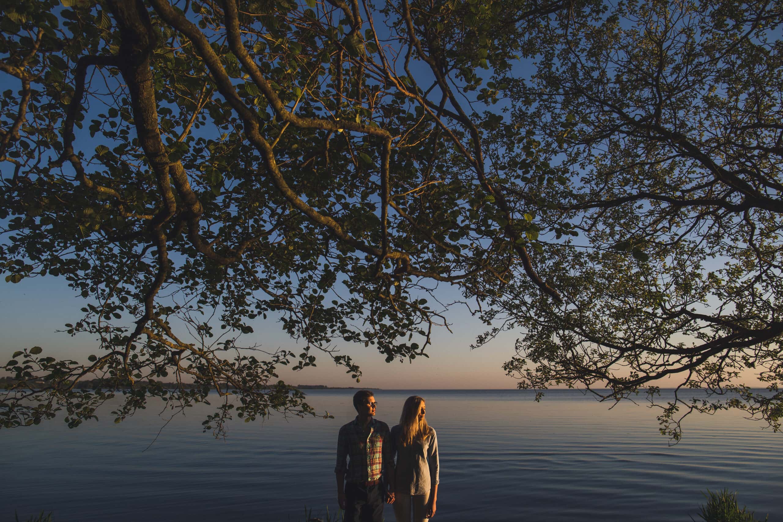 A couple standing under a tree on Antrim Loughshore